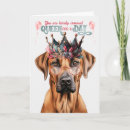 Zoek naar ridgebacks kaarten Gezelschapsdieren
