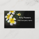 Recherche de plumeria photographie Fleur