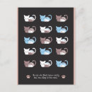 Recherche de lit de chat cartes postales Chatons