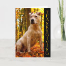 Recherche de staffy vœux cartes Toute personne