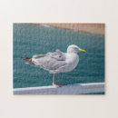 Recherche de mouette puzzles Animaux