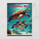 Recherche de îles hawaïennes cartes postales Pour tous