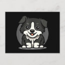 Zoek naar border collie briefkaarten Dier