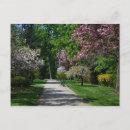 Zoek naar bloeiende boom briefkaarten Tuin