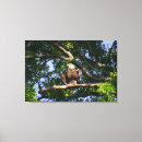 Recherche de aigle animaux articles Nature