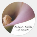Recherche de rose lilly Romantique