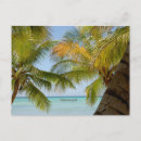 Recherche de dominicain cartes postales Palme