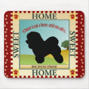 Recherche de bichons tapis souris Chiot