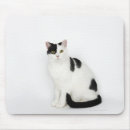 Recherche de noir et blanc chat tapis souris Animal