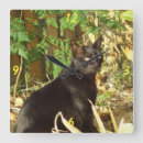 Recherche de chat noir horloges Animaux