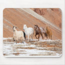 Recherche de troupeau chevaux tapis souris Darrell gulin