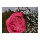Recherche de effets numériques photographie Rose