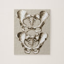 Zoek naar menselijke anatomie puzzels Gezondheid