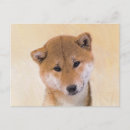 Recherche de inus shiba cartes postales Chien
