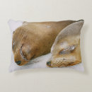 Recherche de phoque coussins Plage
