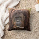 Recherche de orang outan décoration coussins Orangs outans
