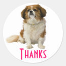 Recherche de cavalier autocollants Chiot