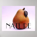 Zoek naar fruit stilleven kunst Peren