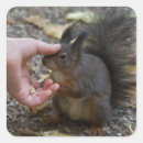 Recherche de animal comique autocollants Drôle