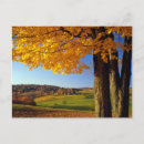 Recherche de animal ferme cartes postales Automne