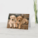 Recherche de pépites vœux cartes Salutations