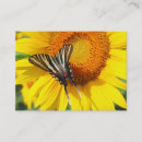 Recherche de ailes papillon cartes visite Photographie