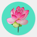 Zoek naar roze lotusbloem stickers Geel