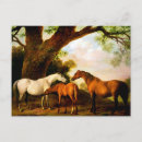 Recherche de george stubbs cartes postales Animal