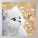 Recherche de furry posters Blanc