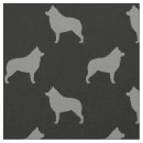 Recherche de schipperke Chien