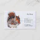 Recherche de prairie cartes visite Marmotte