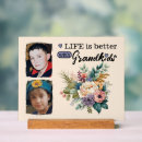 Recherche de plastique plaques Fleurs