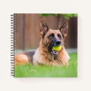 Zoek naar duitse herder notitieboeken Puppy