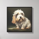 Recherche de petits bassets Canin