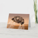 Recherche de rover vœux cartes Surface