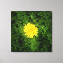Zoek naar dandelion kunst Geel