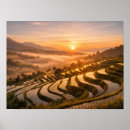 Recherche de bali posters Rizières