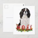 Zoek naar cavalier briefkaarten Feestdagen