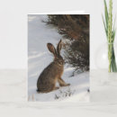 Recherche de lapin neige vœux cartes Salutations