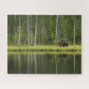 Recherche de finland puzzles Forêt