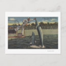 Recherche de marsouin cartes postales Lanterne
