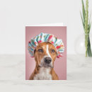 Recherche de humour petite correspondances cartes Amusant