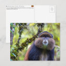 Zoek naar oeganda briefkaarten Afrika