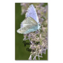 Recherche de gros plan cartes visite Insecte