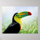 Zoek naar tropical toucan posters Vogel