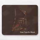 Recherche de fossile tapis souris Dinosaure