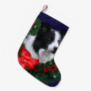 Recherche de border collie chaussette de noël Vacances