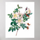 Recherche de rose et blanc posters Pour eux