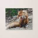Recherche de boucher puzzles Animal