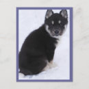 Recherche de huskies cartes postales Chiots
